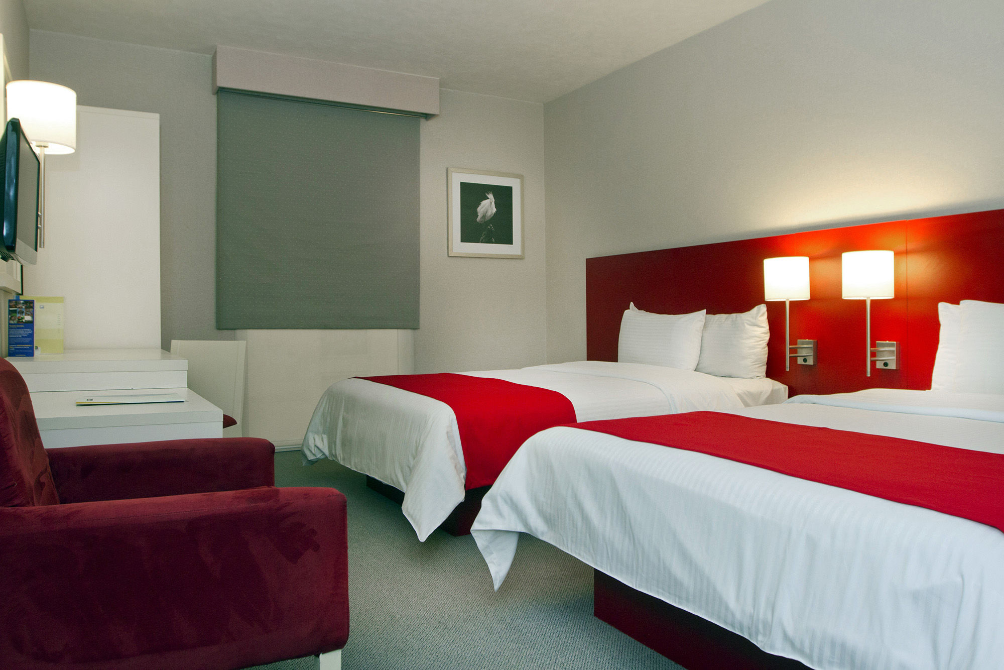 City Express Plus By Marriott Ciudad De Mexico Insurgentes Sur Luaran gambar